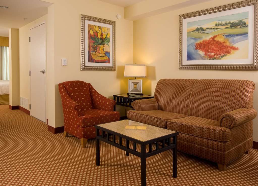 Hilton Garden Inn Atlanta Airport/Millenium Center Room photo