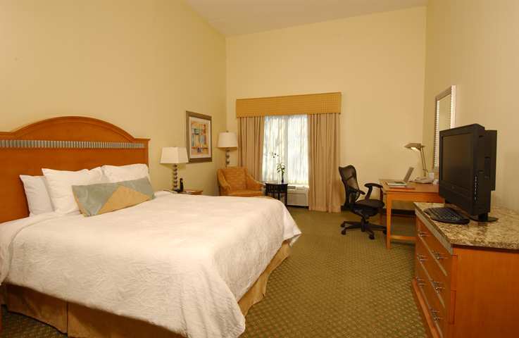 Hilton Garden Inn Atlanta Airport/Millenium Center Room photo